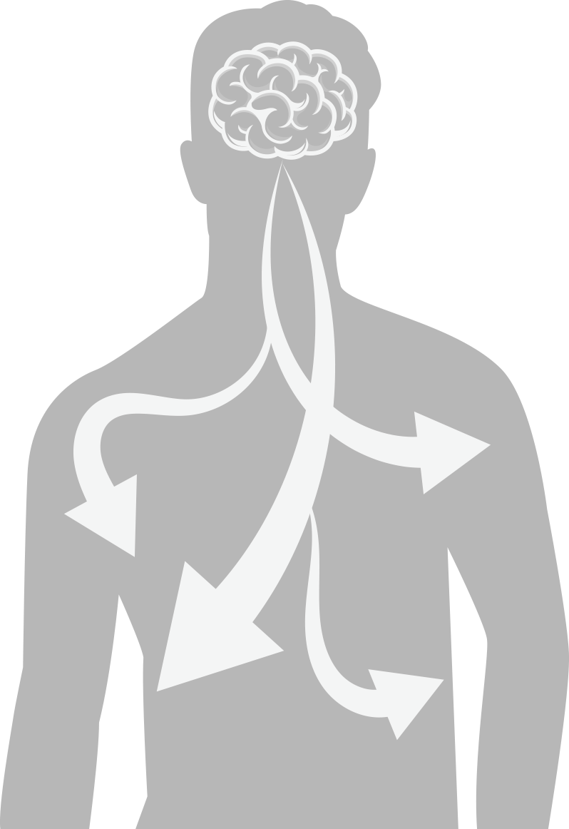 Why I Had to Write This Chapter