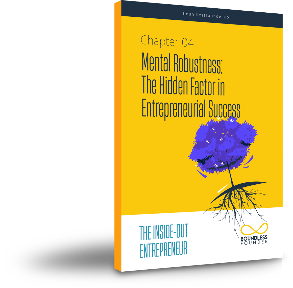 The inside out entrepreneur chapter 4 the role of mental robustness and resilience 7 Folder 1 1